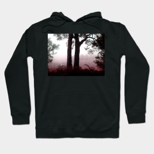 Morning Mist in Gippsland Hoodie